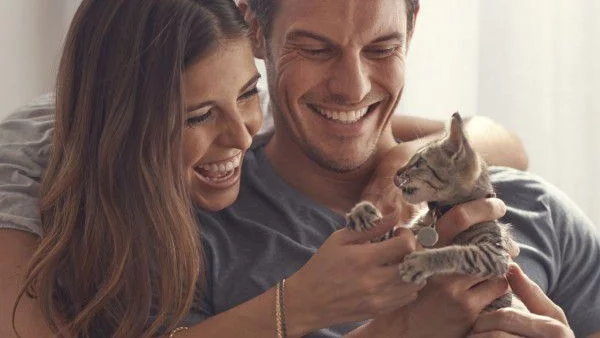 12 ползи от това да имаш коте