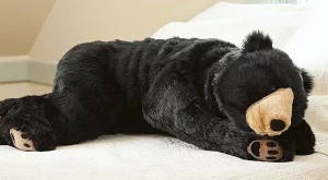 Да спиш като мечка