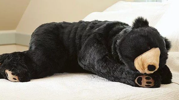 Да спиш като мечка