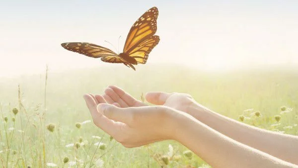 Аз молих да мога да летя…