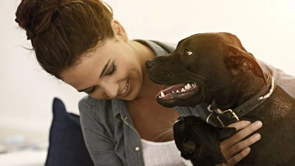 Нямате мъж? Това е най-добрата алтернатива 