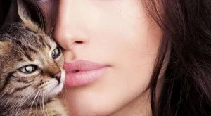 Притча за абсолютно независимата жена