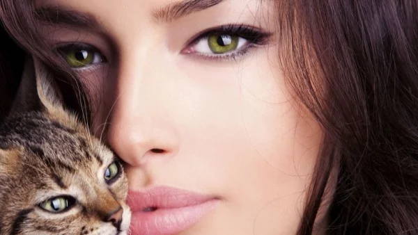 Разговори с моята котка