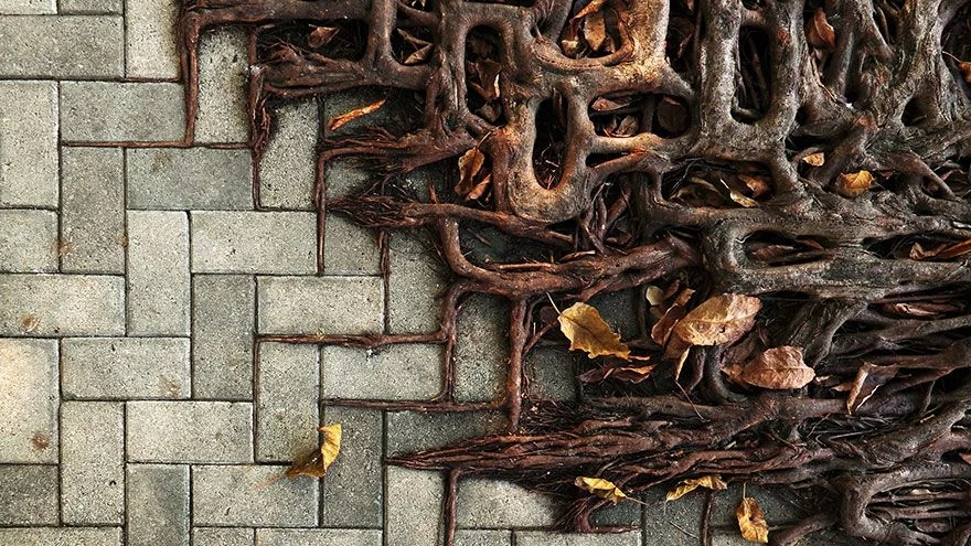 Когато природата победи цивилизацията (снимки)