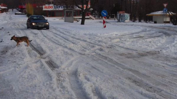 В Плевен вземат превантивни мерки заради очаквания сняг