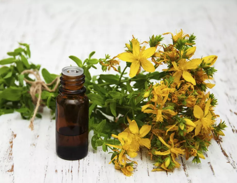 Жълт кантарион – какво представлява и как се използва