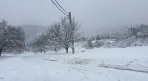 Пътищата в зимна готовност от 1 ноември 