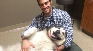 Ето това е секси ветеринар