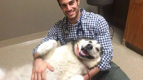 Ето това е секси ветеринар