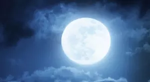 Стихотворение за 24 януари 2024