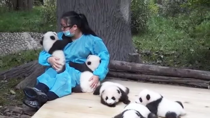 Ето коя е най-хубавата професия на света (видео)