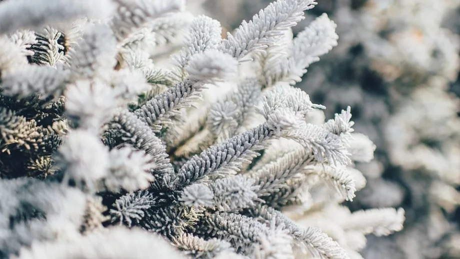 КЗП: Нелоялна практика би имало при планово спиране на тока в голям студ