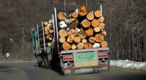 Дървата за огрев няма да поскъпват