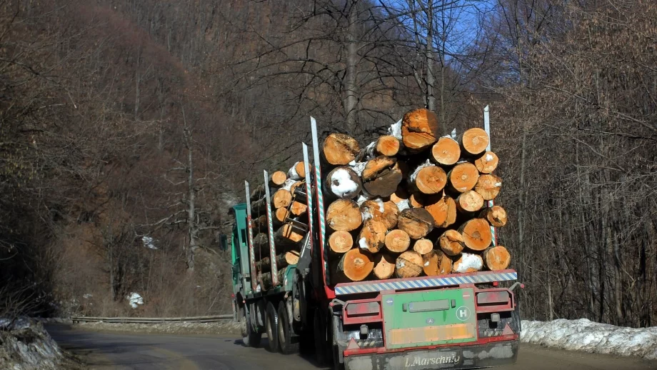 13 кубика нелегална дървесина задържаха при проверка край Пазарджик