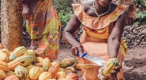 Kit Kat с кампания за по-добро земеделие, по-добро какао и по-добър живот