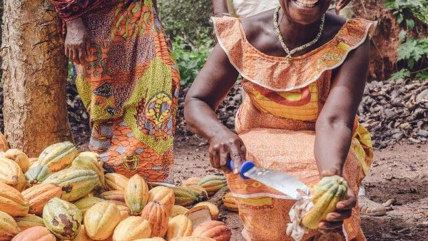 Kit Kat с кампания за по-добро земеделие, по-добро какао и по-добър живот