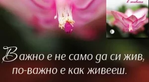 Мъдри послания за важните неща в живота