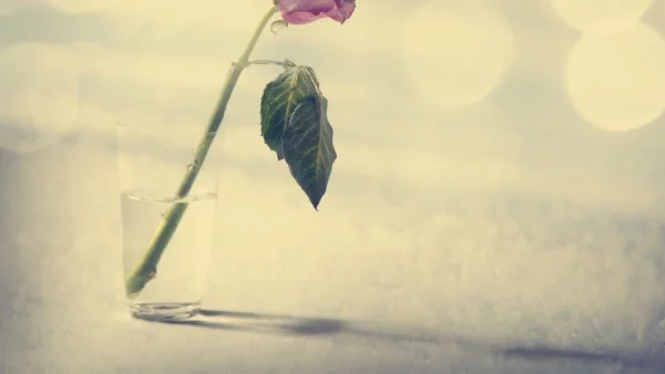 8 март от ден до пладне