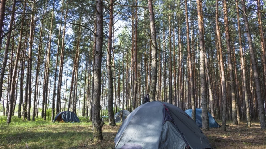 Забраняват палатките и в планината, Плевнелиев сезира КС 