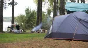 2016/03/12/0320639001457780554