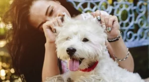 Чуден ден очаква една зодия на 29 март