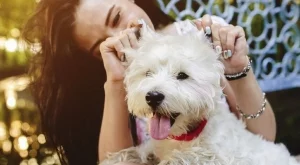 Научих, че... 