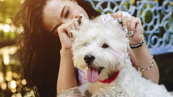 Научих, че... 