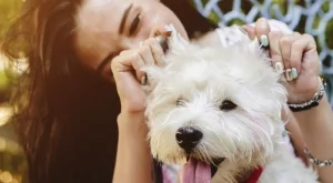 13 причини да имаш куче вместо гадже