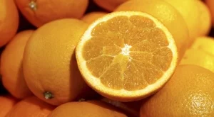 Храни, които изхвърляме, а не трябва