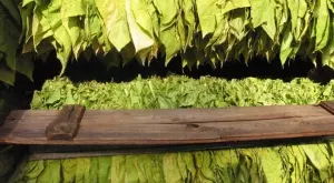 2016/03/18/0986804001458311022