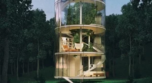 Стъклена къща, построена около дърво