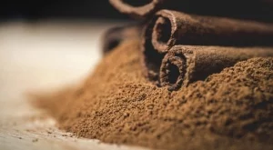 Канелата може да защити организма от затлъстяване и диабет