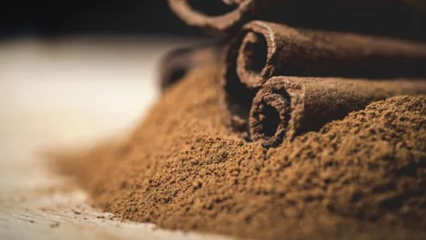 Канелата може да защити организма от затлъстяване и диабет