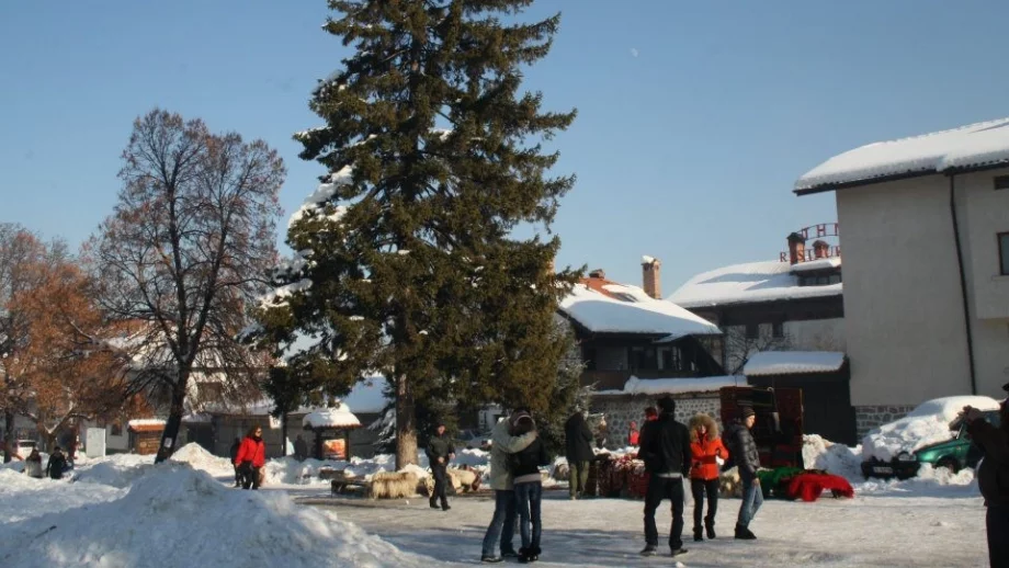 Без куверти в Банско за 8 декември 