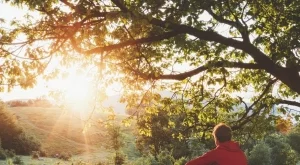 У дома пролетта е най-красива