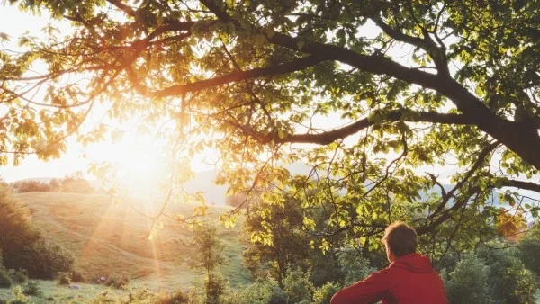 У дома пролетта е най-красива