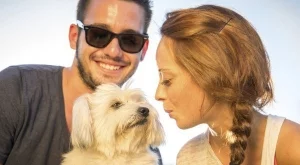 Креативни изобретения за кучета