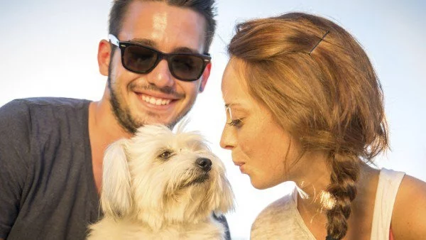 Креативни изобретения за кучета