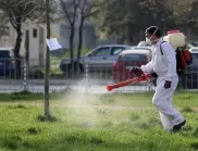 Предстои пръскане срещу кърлежи, бълхи и комари в Русе