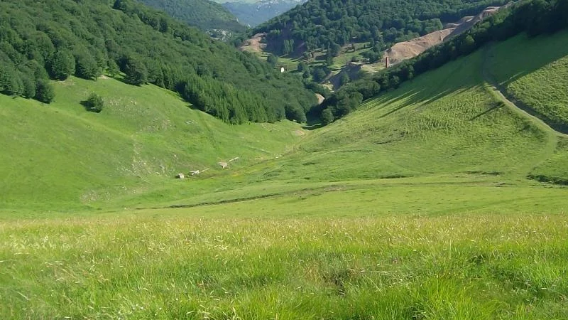 Работодателите подкрепиха орязване на граждански права с екозакона