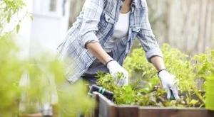 Градинарството е полезно за здравето