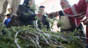 Никога не изхвърляйте върбовите клонки след Цветница, ето какво да направите с тях