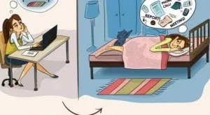 Животът в офиса, разказан в забавни илюстрации