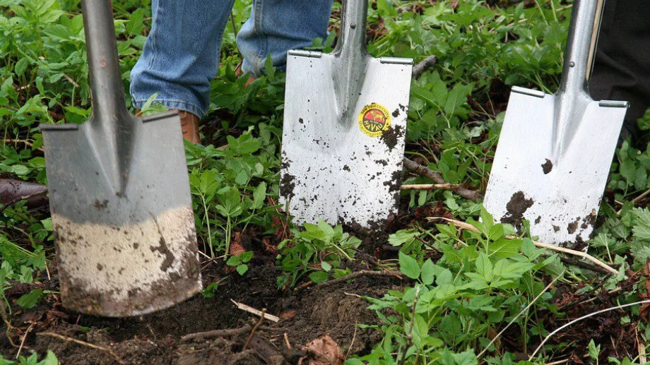 Виц за 29 май 2023: Мутра копае дупка в двора