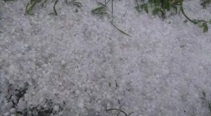 МЗХ подготви нова концепция за градушките