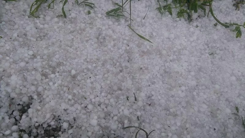 МЗХ подготви нова концепция за градушките