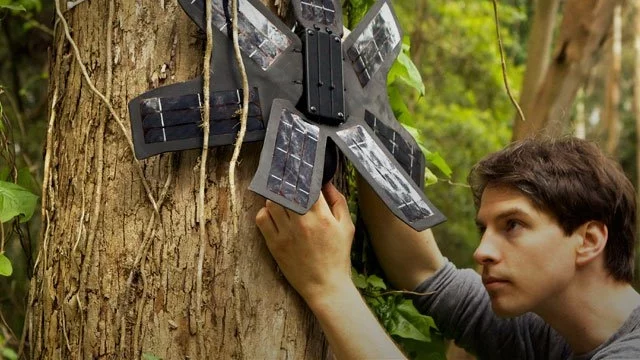 Млад изобретател се бори срещу обезлесяването с рециклирани телефони 