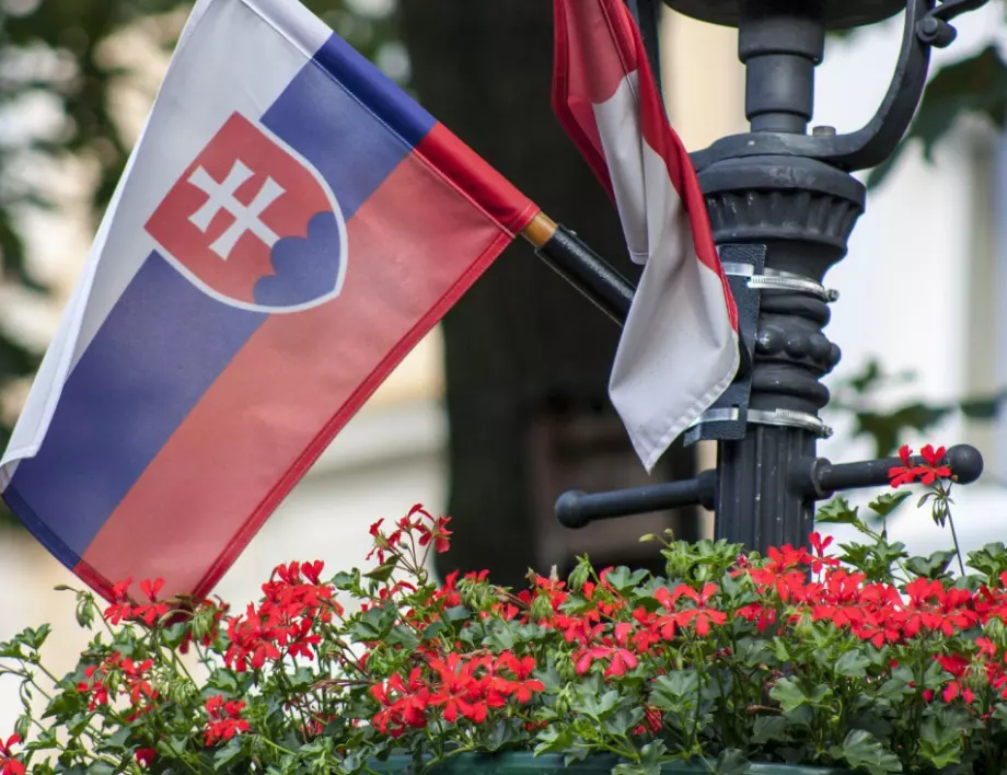 Словакия провежда референдум 