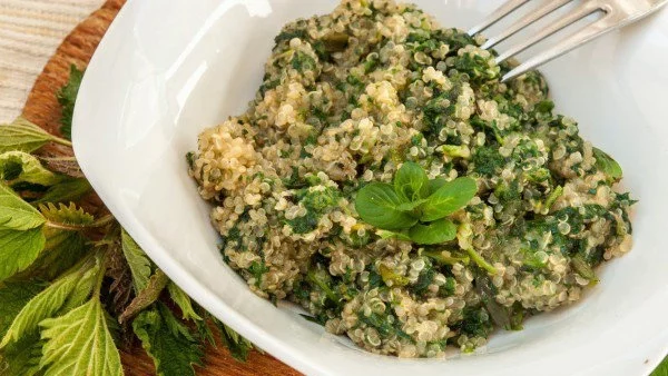 Киноа с коприва