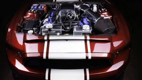 Vilner омагьоса уникалния Shelby Mustang Super Snake